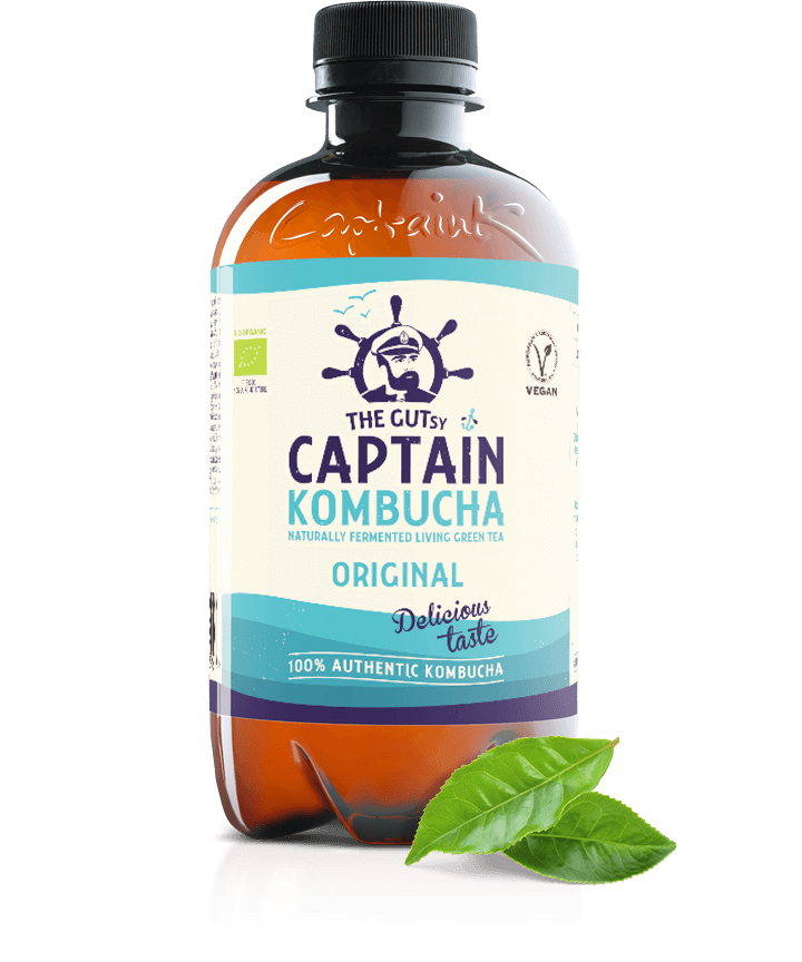 Gutsy Captain Kombucha Original (400ML) PET
