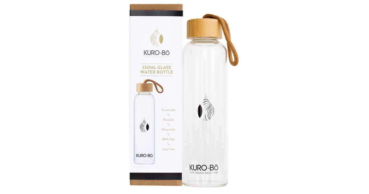 Water Filter Bottle (550ML)